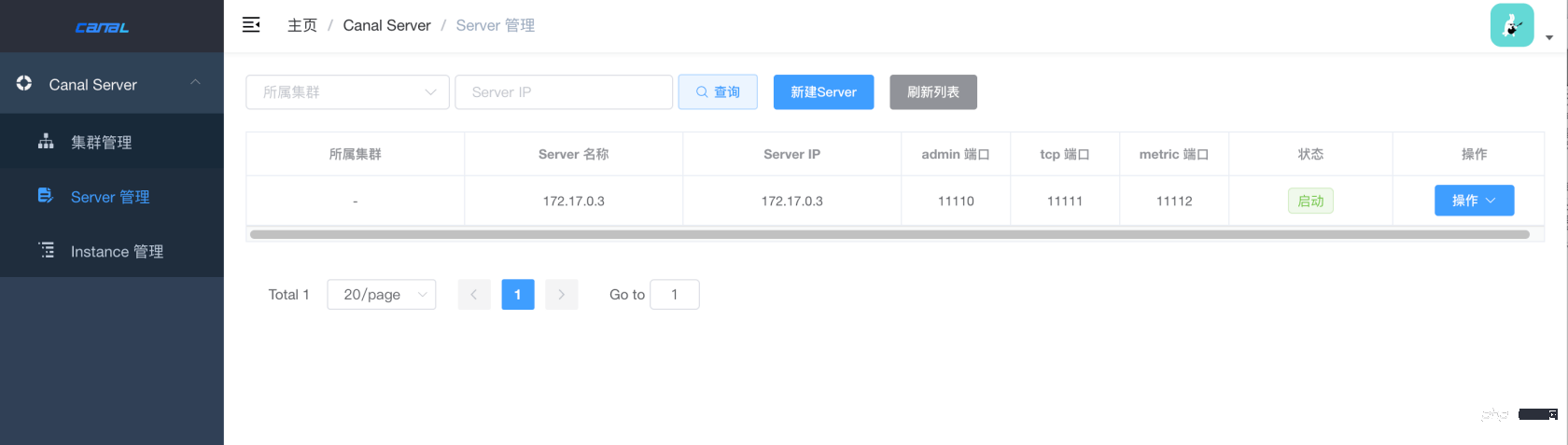docker canal-*****  canal-server