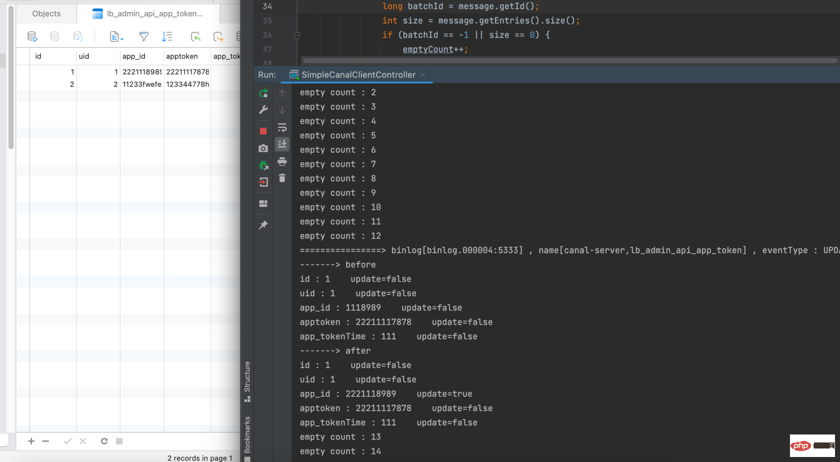 docker canal-*****  canal-server